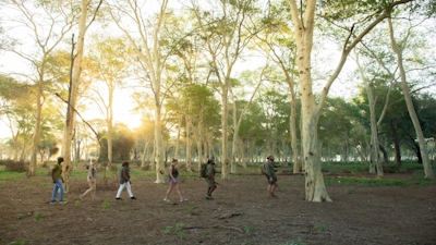 RETURN Africa Baobab Hill House Bush Walks